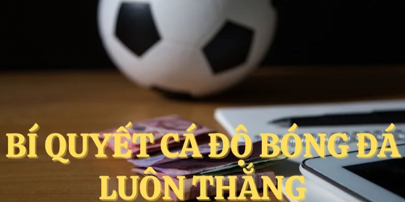 Top kinh nghiệm cược bóng đá nên biết